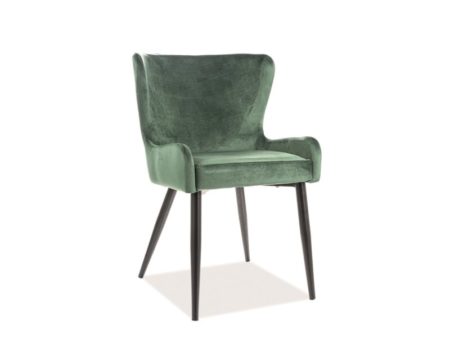 SIGNAL - PASSO II VELVET 119